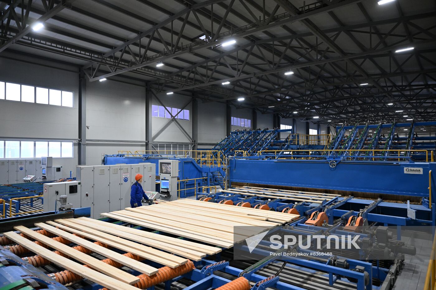 Russia Timber Industry
