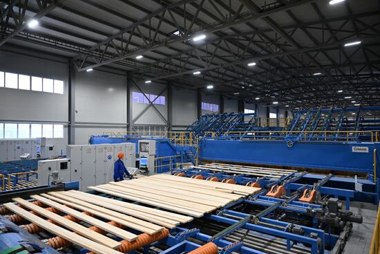 Russia Timber Industry