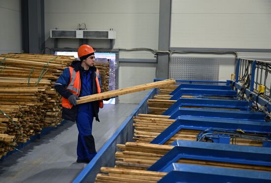 Russia Timber Industry