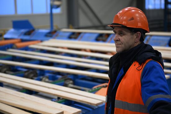 Russia Timber Industry