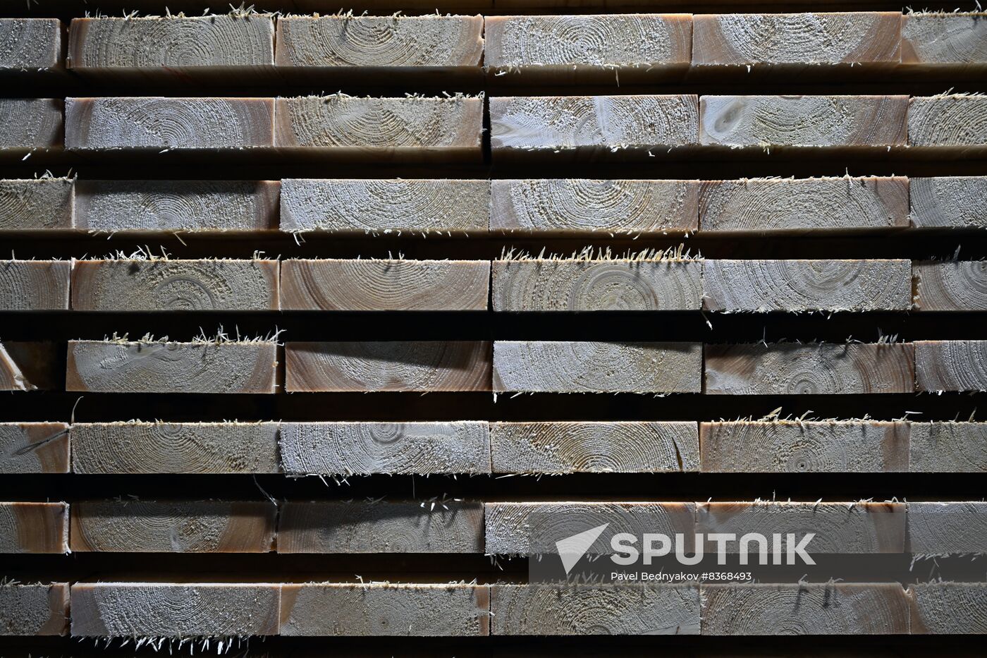 Russia Timber Industry