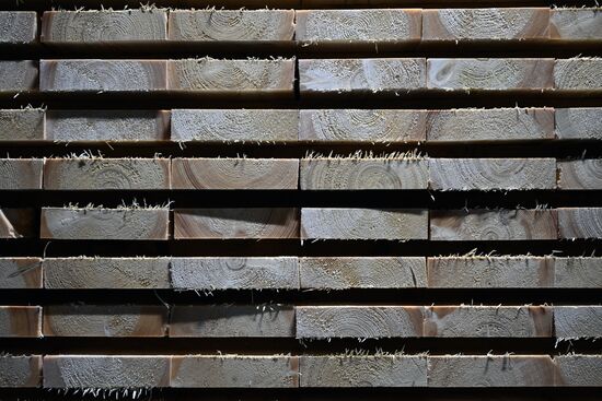 Russia Timber Industry