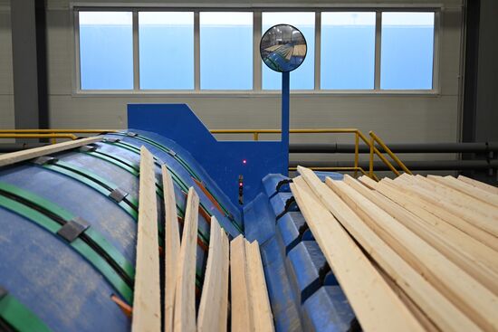 Russia Timber Industry
