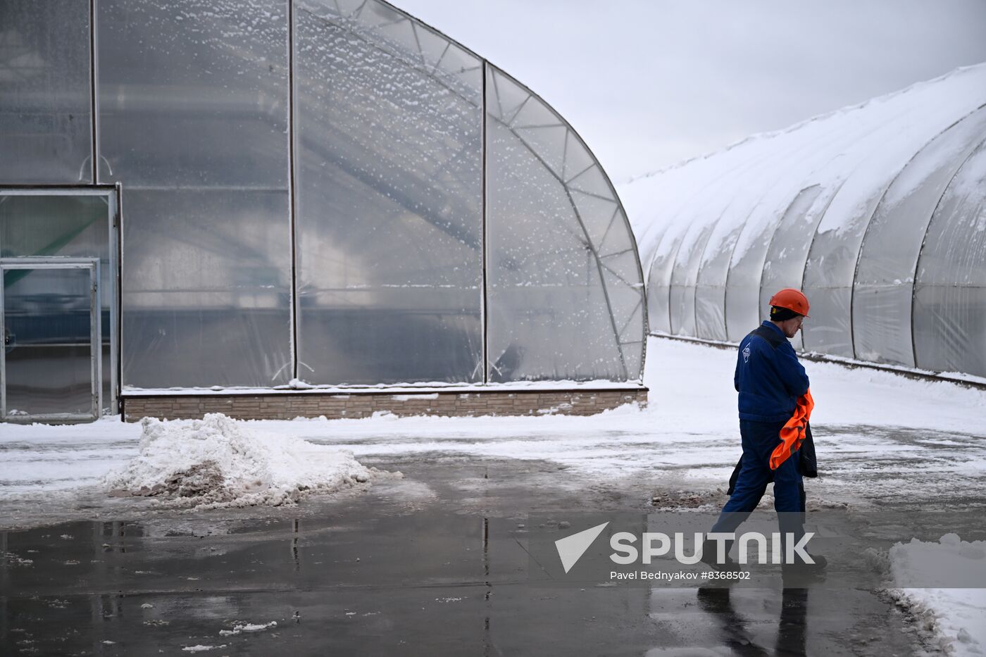 Russia Timber Industry