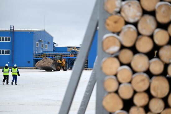 Russia Timber Industry