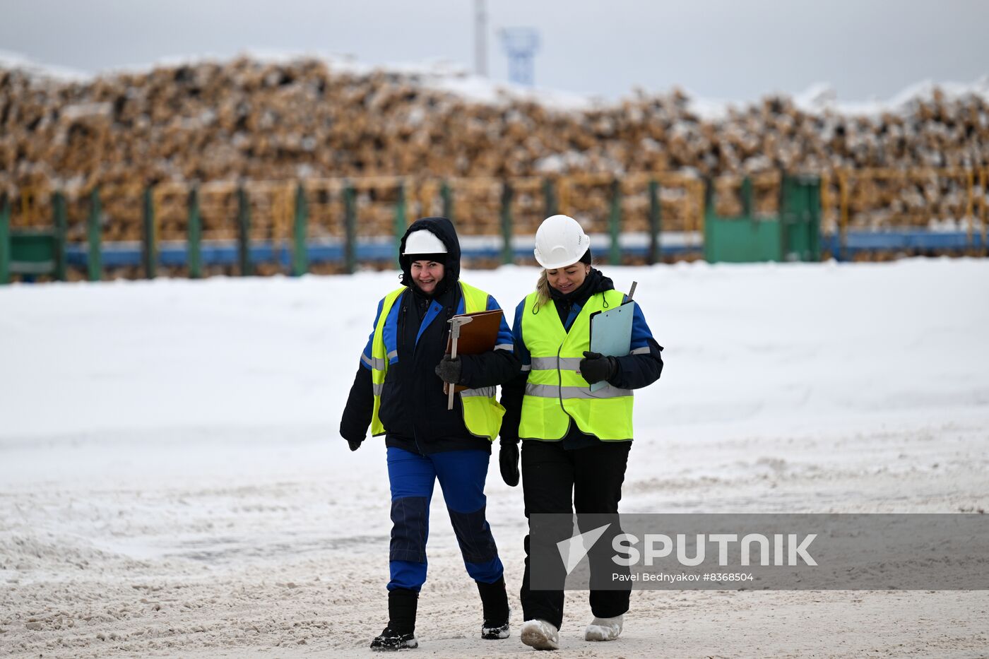 Russia Timber Industry