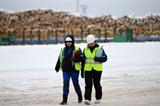 Russia Timber Industry
