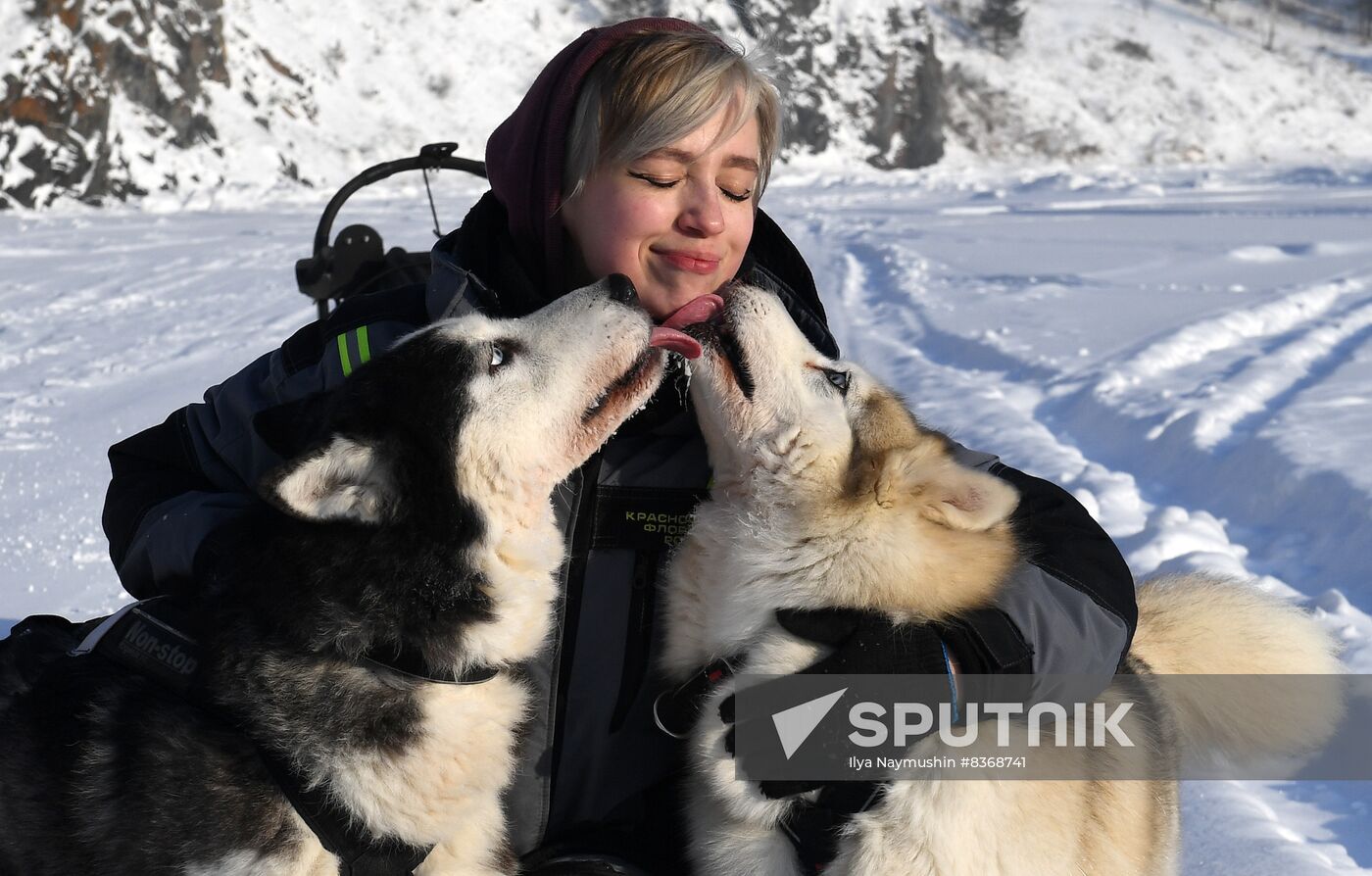 Russia Sled Dog Race