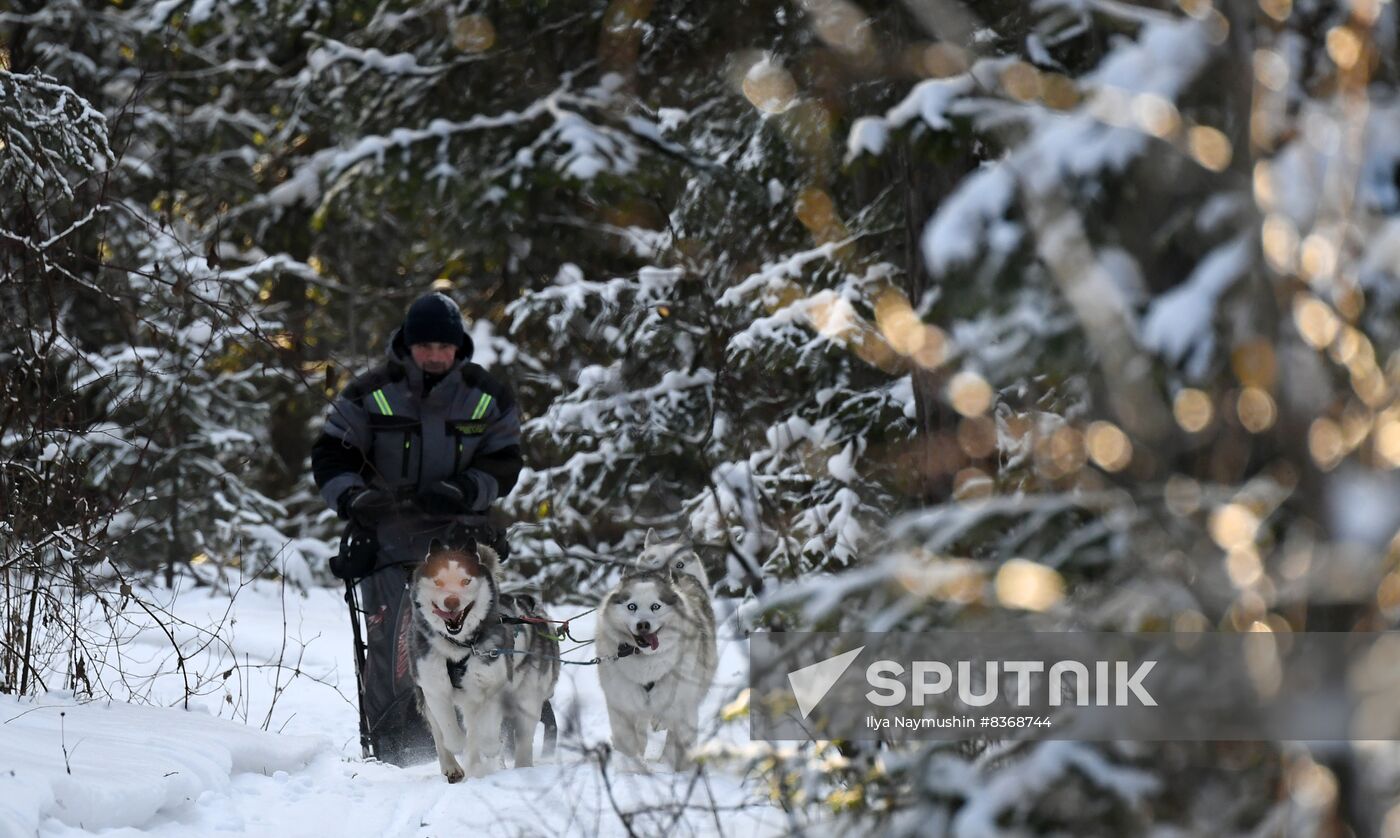 Russia Sled Dog Race