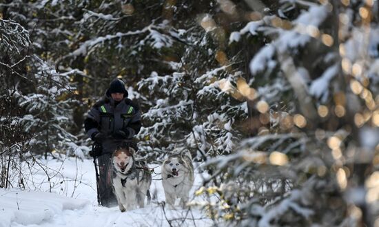 Russia Sled Dog Race