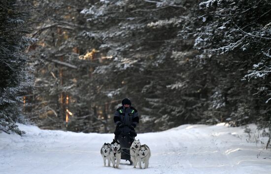 Russia Sled Dog Race