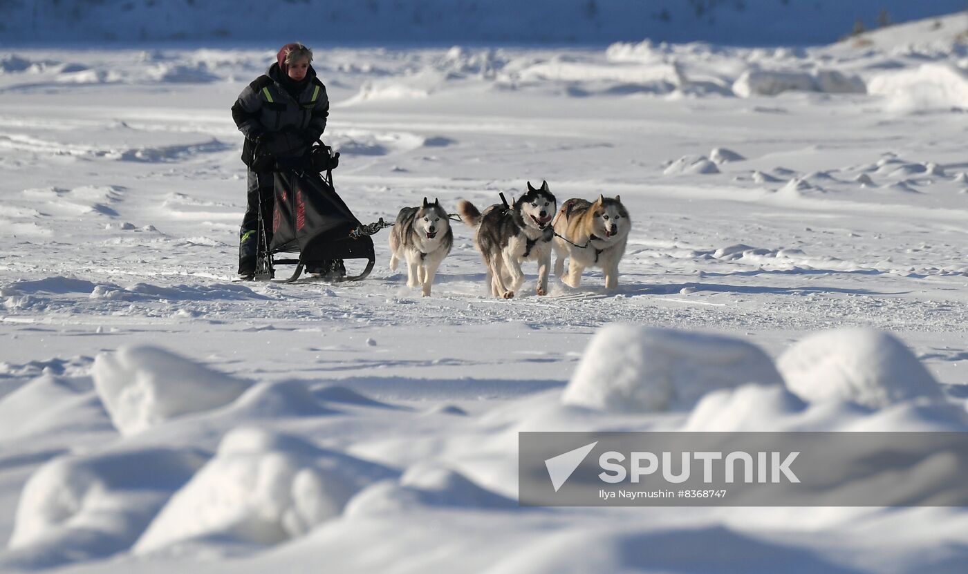 Russia Sled Dog Race