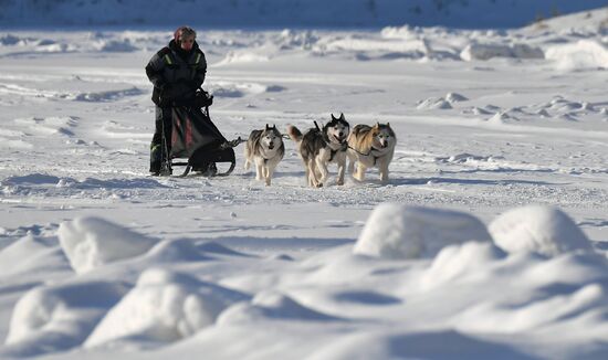 Russia Sled Dog Race