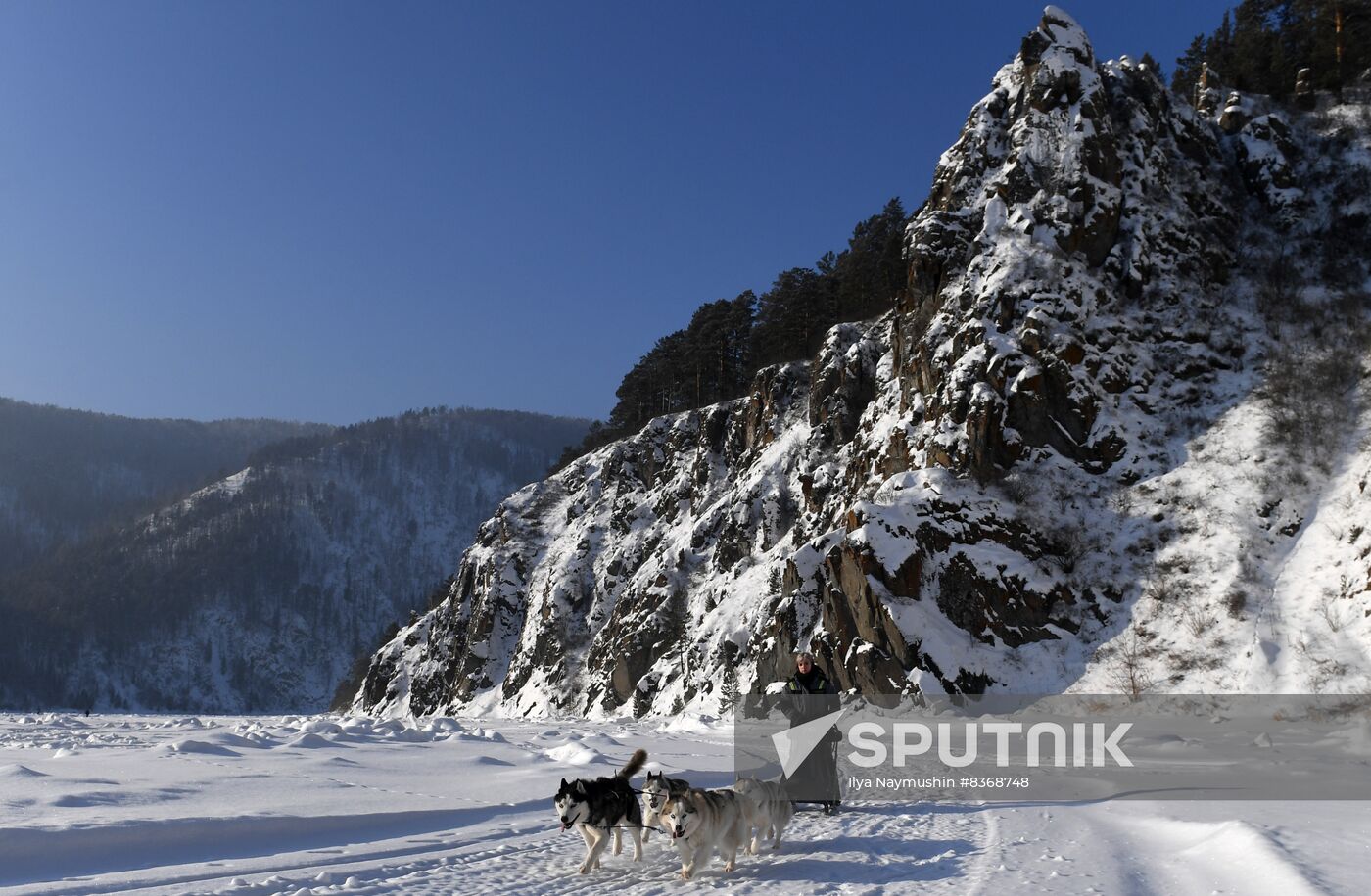 Russia Sled Dog Race