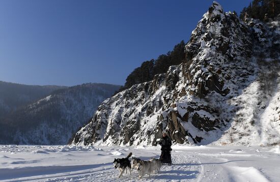 Russia Sled Dog Race