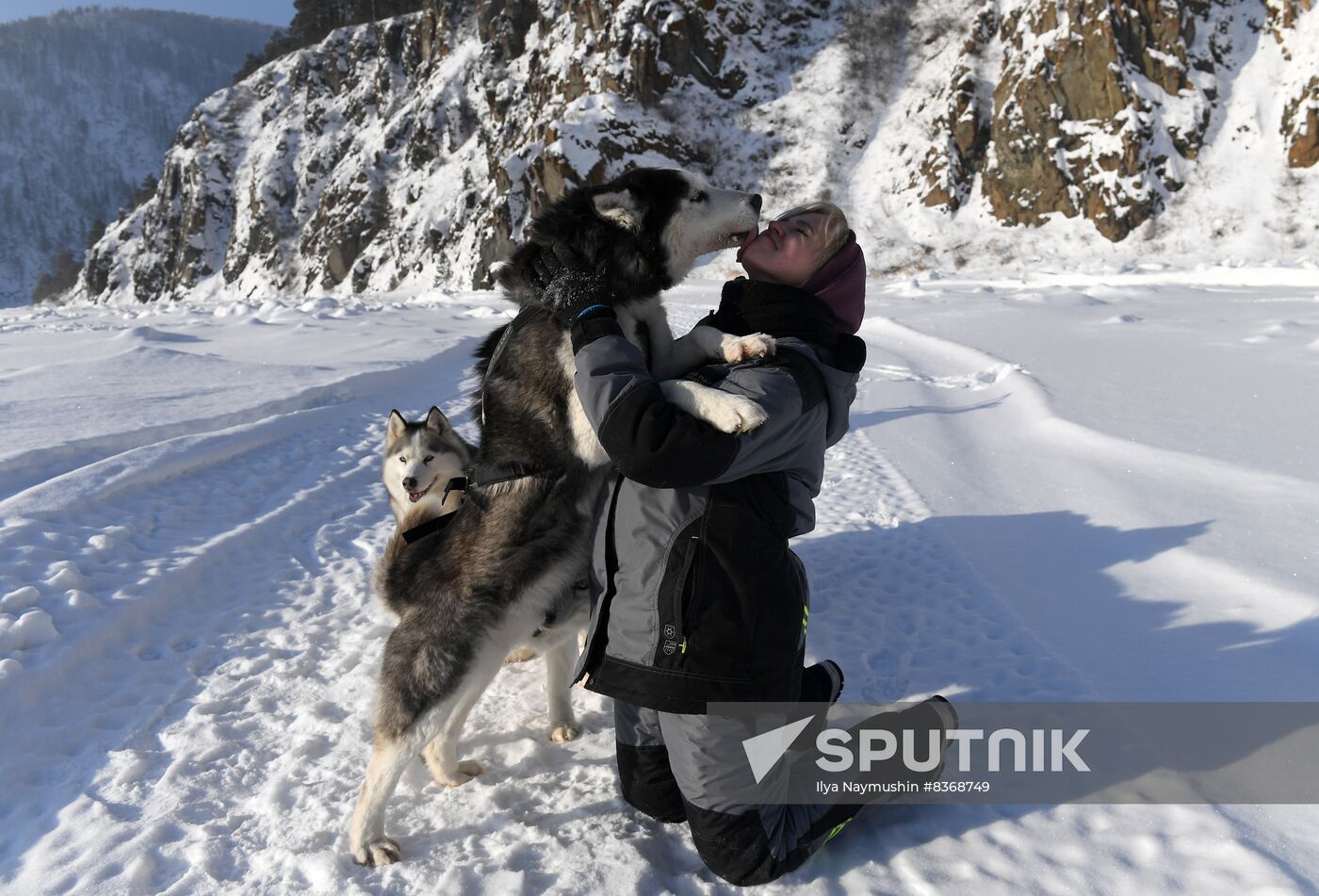 Russia Sled Dog Race