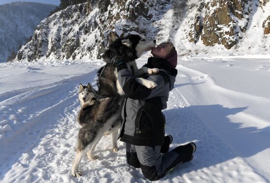 Russia Sled Dog Race