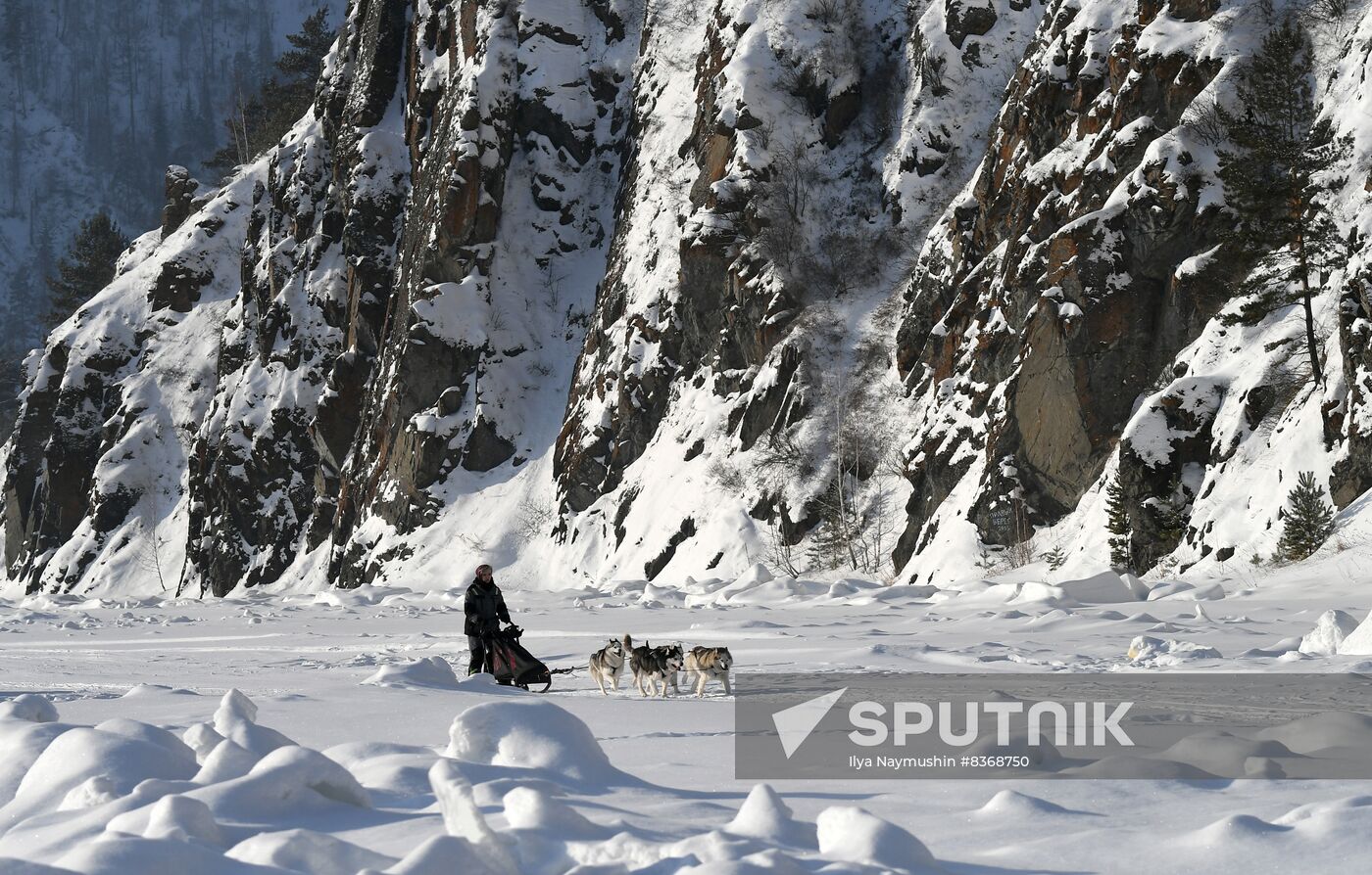 Russia Sled Dog Race