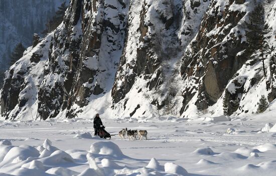 Russia Sled Dog Race