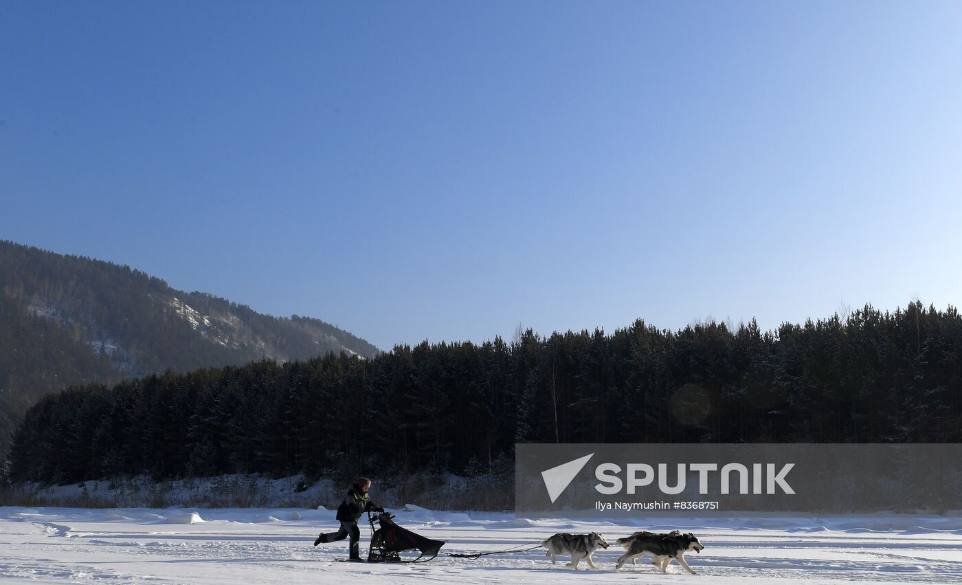 Russia Sled Dog Race