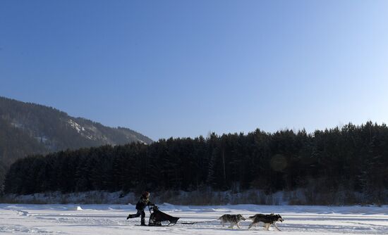 Russia Sled Dog Race