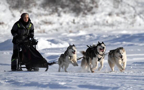 Russia Sled Dog Race