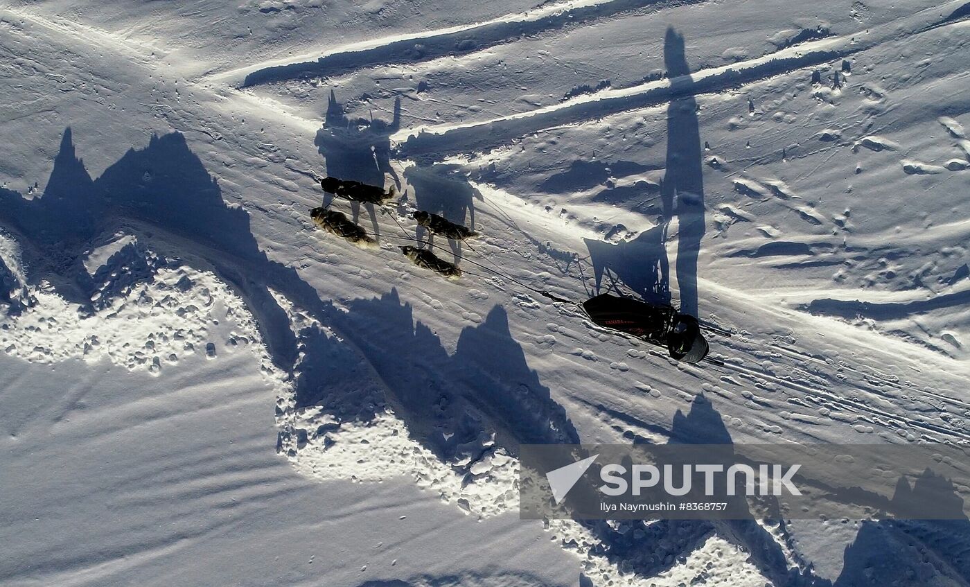 Russia Sled Dog Race