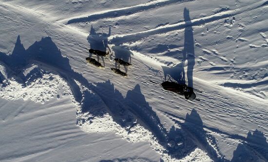 Russia Sled Dog Race