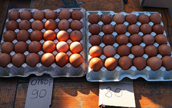 Russia Ukraine Military Operation Daily Life