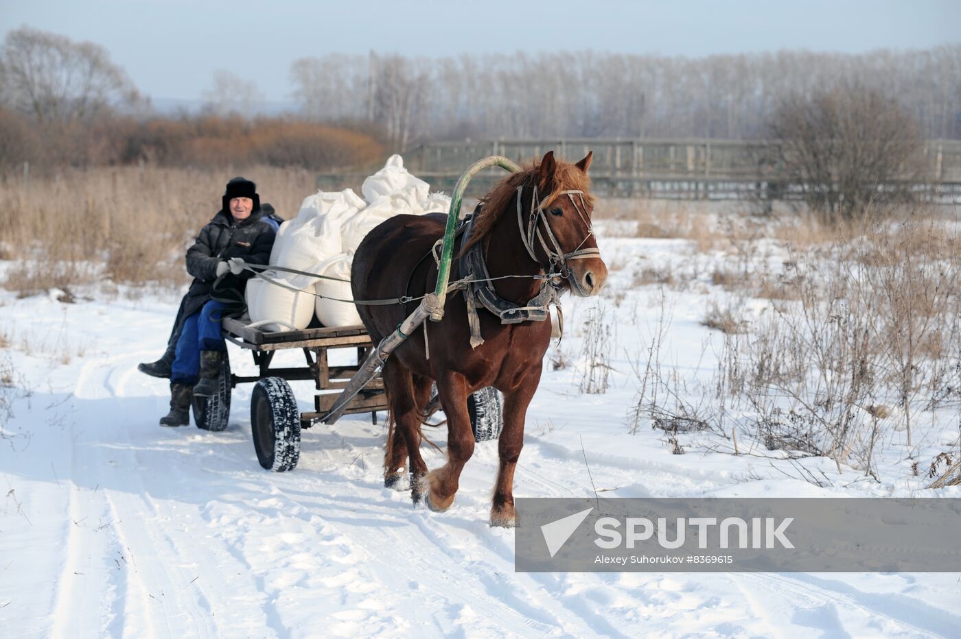 Russia Agriculture Poultry Farming