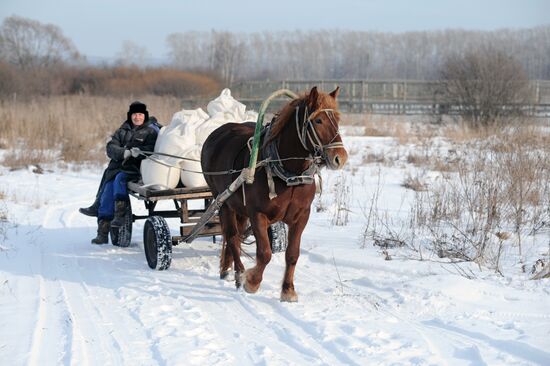 Russia Agriculture Poultry Farming