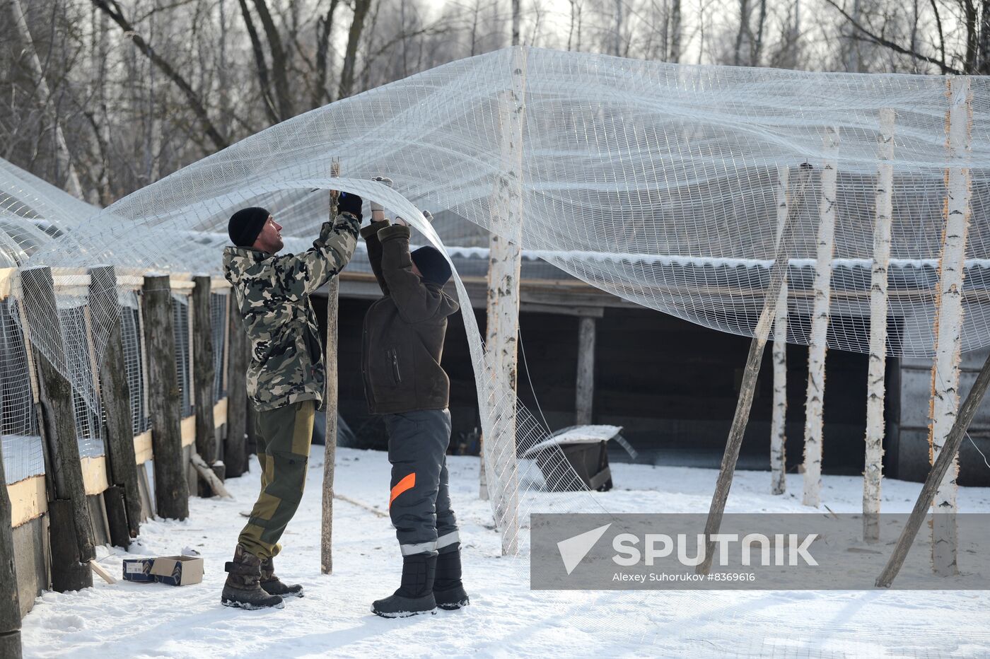 Russia Agriculture Poultry Farming