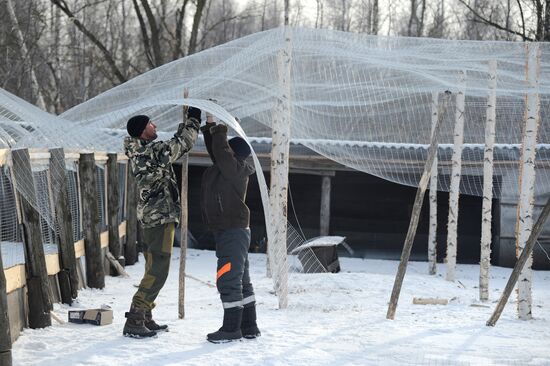 Russia Agriculture Poultry Farming