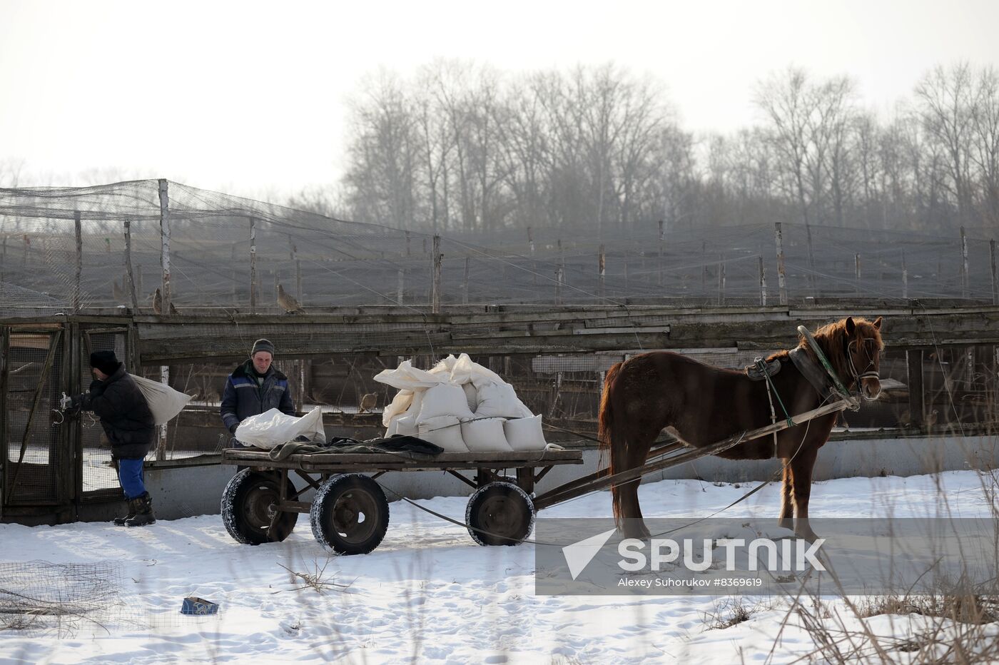 Russia Agriculture Poultry Farming