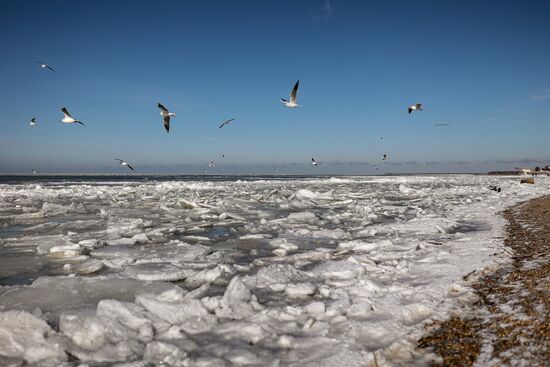 Russia Environment