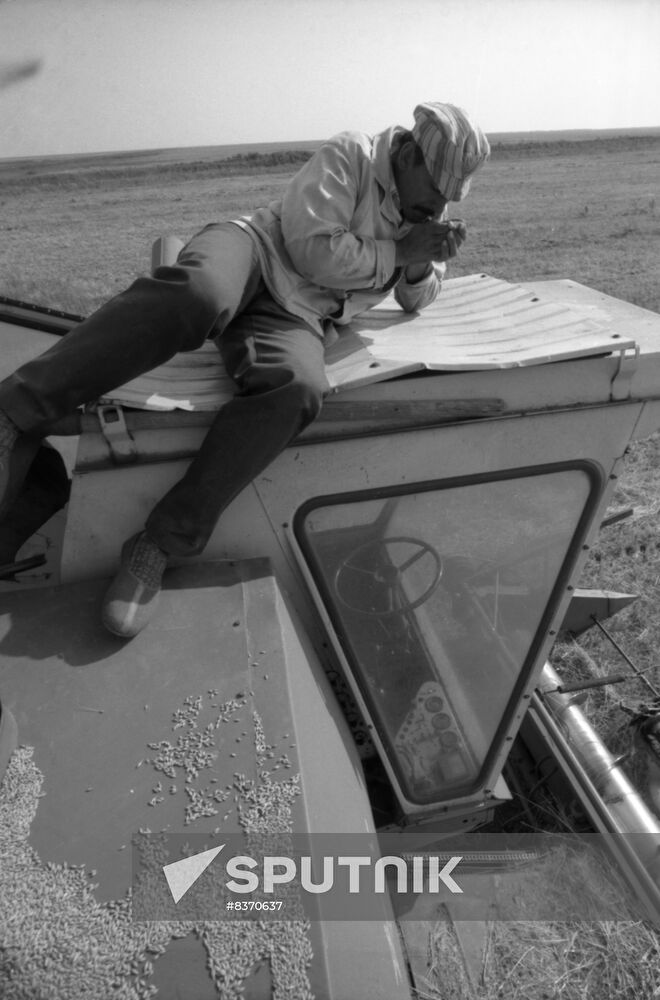 Harvesting in Pallas District, Volgograd Region