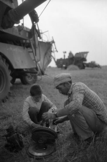 Harvesting in Pallas District, Volgograd Region