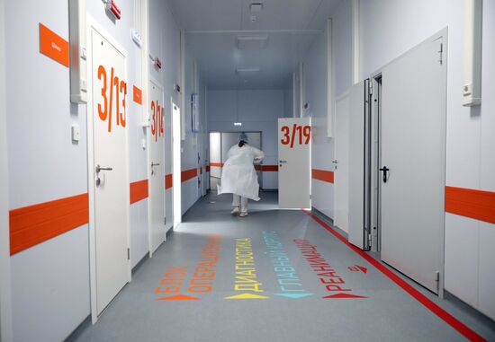 Russia Healthcare Infectious Diseases Centre