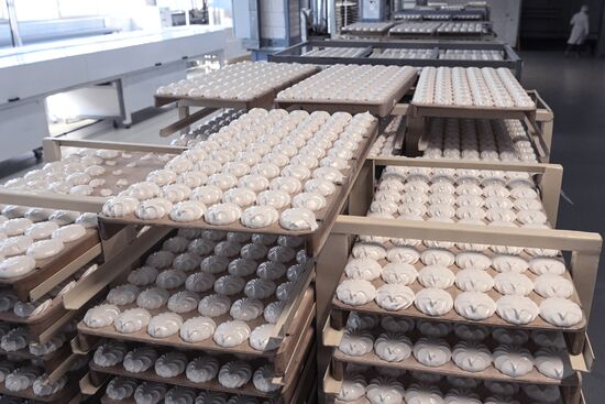 Russia Confectionary Industry