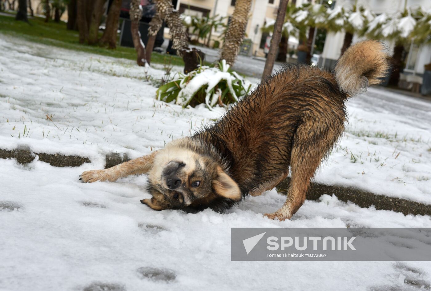 Abkhazia Weather