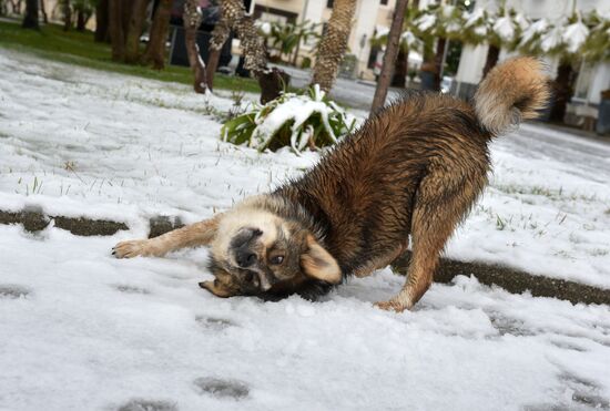 Abkhazia Weather