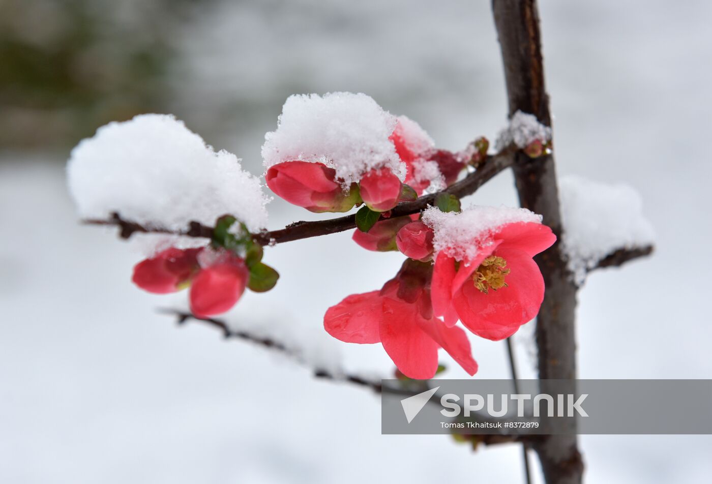 Abkhazia Weather