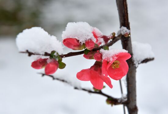 Abkhazia Weather