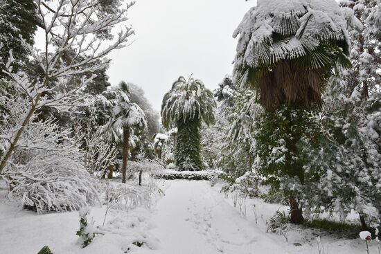 Abkhazia Weather