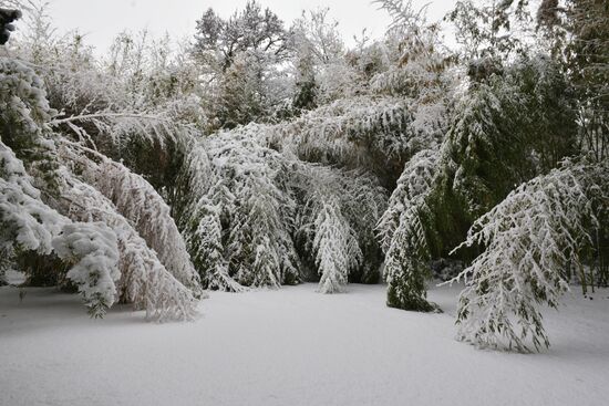 Abkhazia Weather