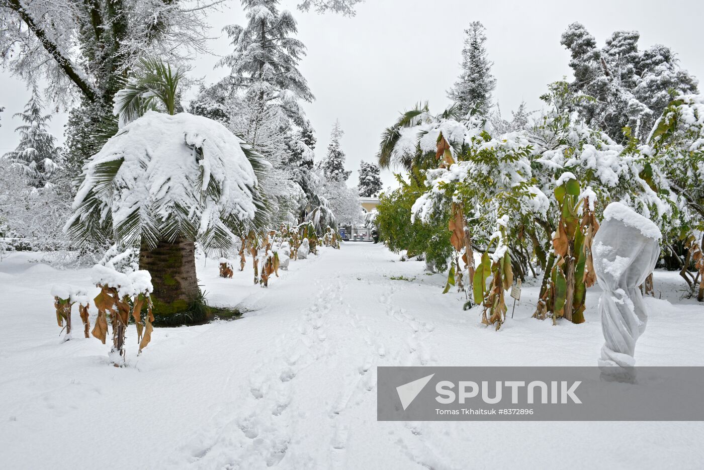 Abkhazia Weather