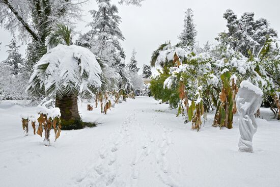 Abkhazia Weather