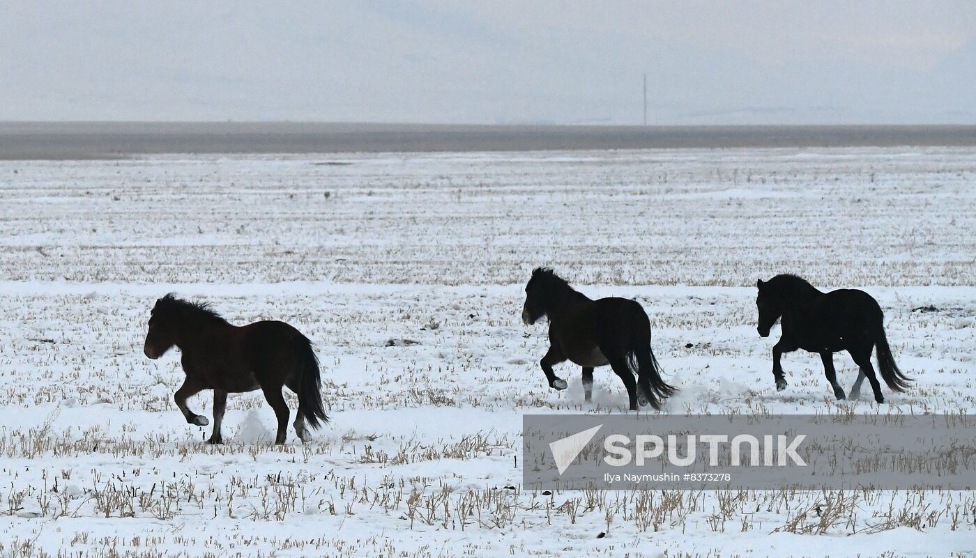 Russia Environment