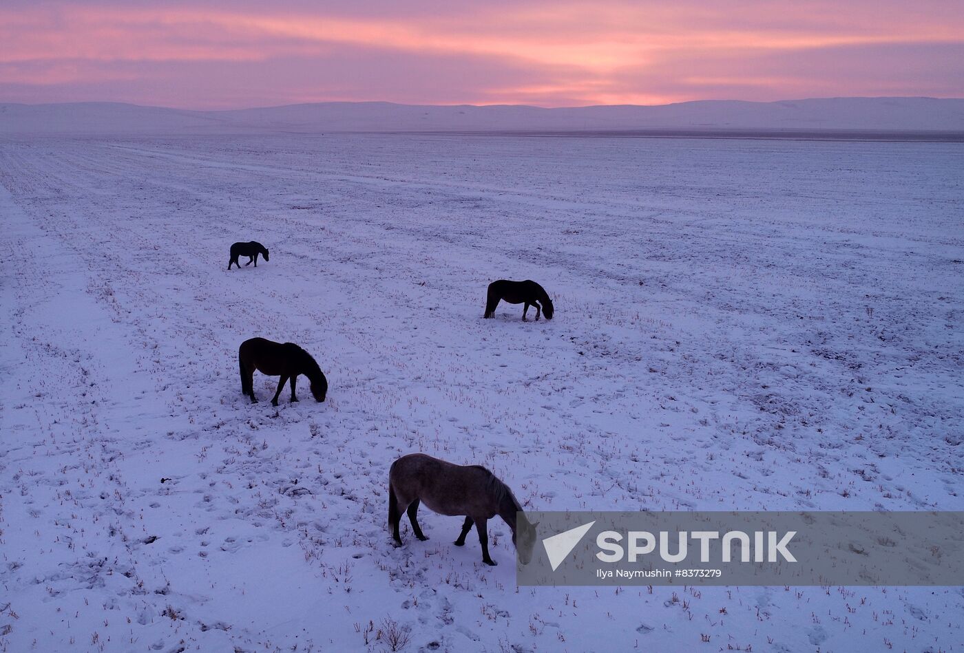 Russia Environment