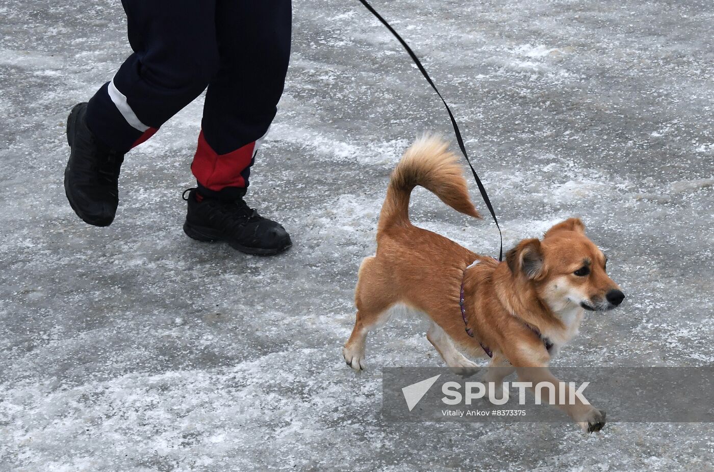 Russia Ice Run Half- Marathon